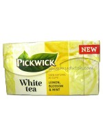 Pickwick White Tea Lemon Blossom Mint