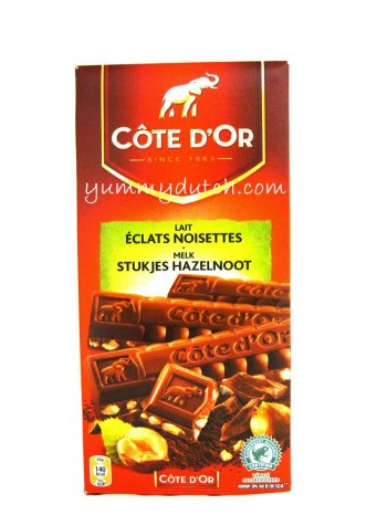 Cote Dor Milk Chocolate Hazelnut Pieces